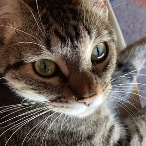 Meet your Posher, Dylan